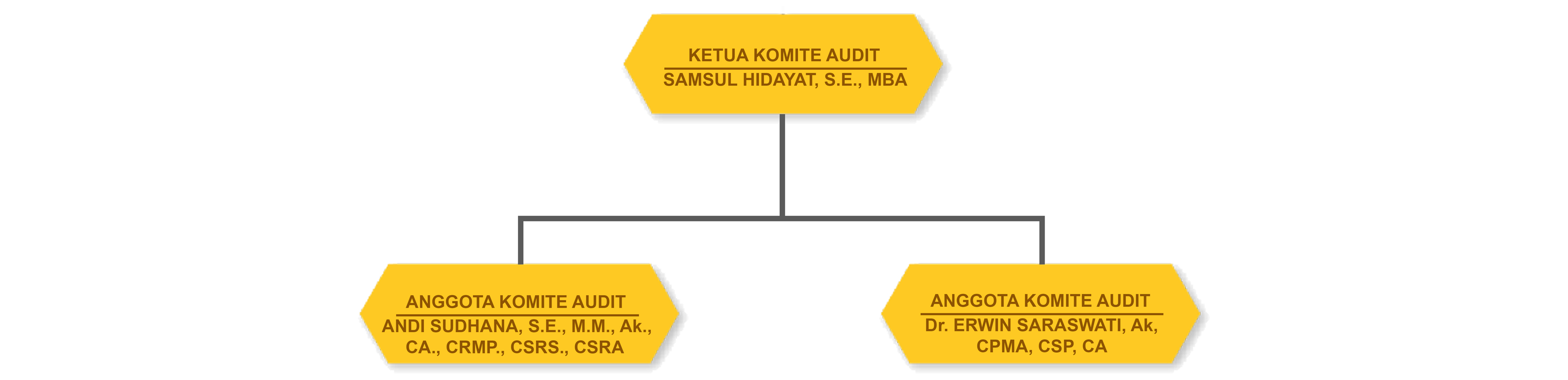 Struktur Komite Audit (web mini)